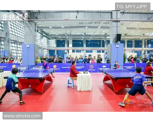 西安乒乓球队灵活性探讨与发展策略分析