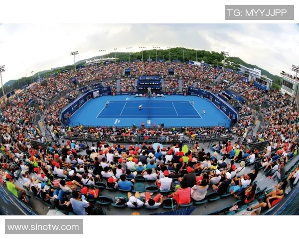 西安网球队的节奏解析与深度剖析网球运动的魅力与挑战